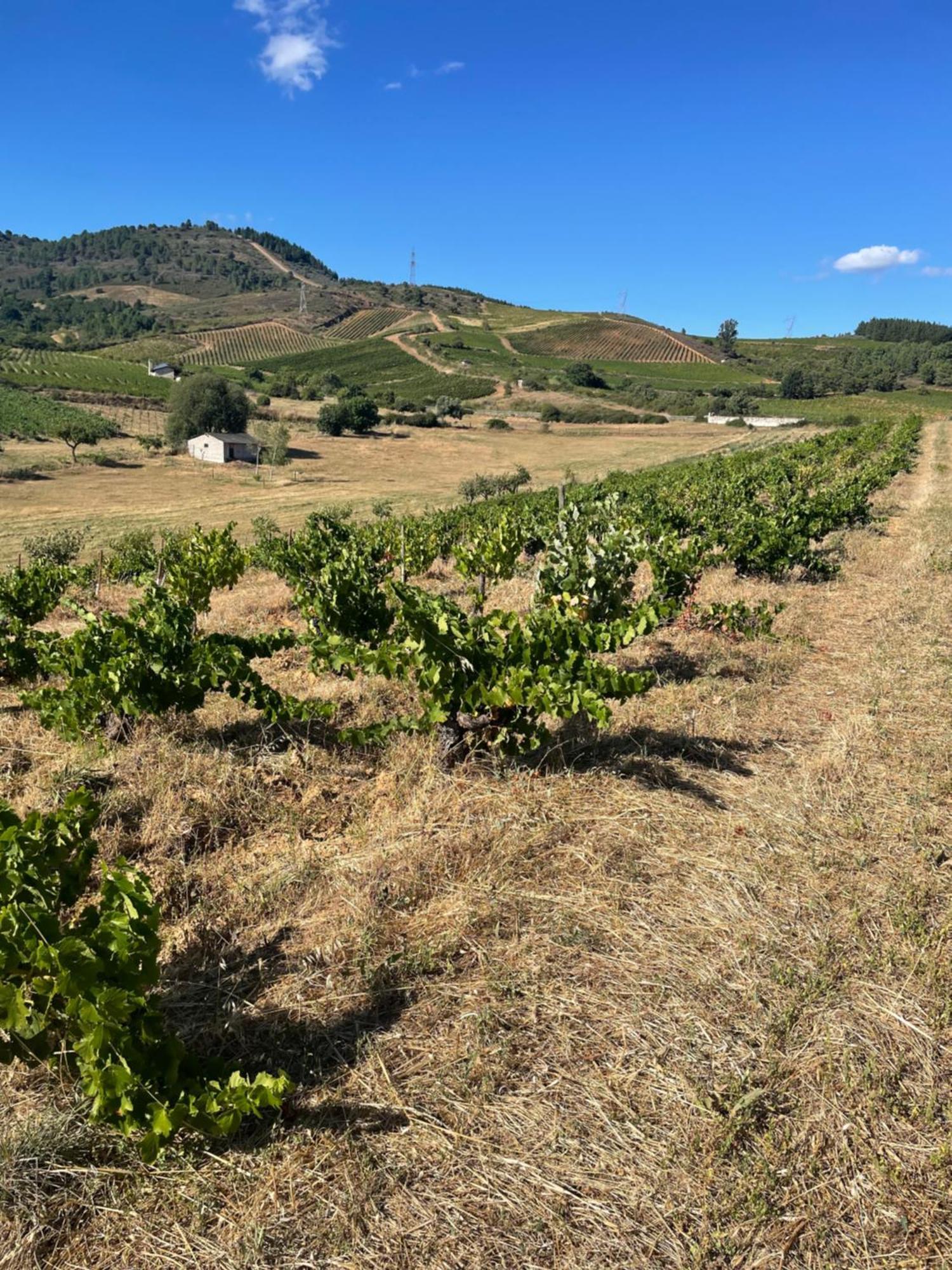 Boutique Finca Esencial Villafranca Del Bierzo Exteriér fotografie
