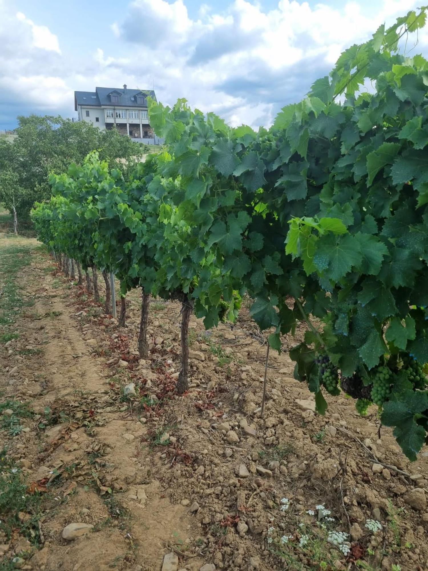 Boutique Finca Esencial Villafranca Del Bierzo Exteriér fotografie