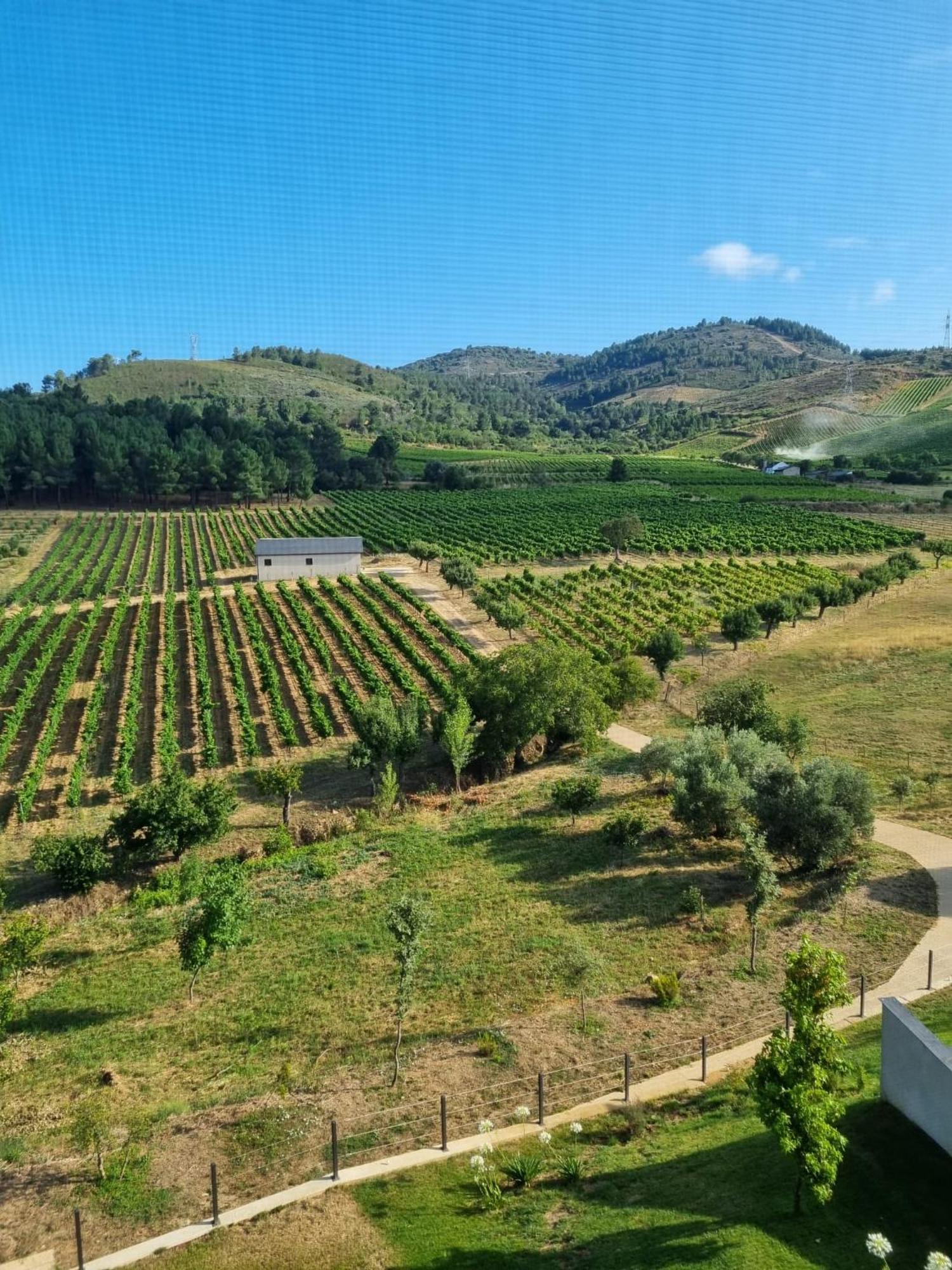 Boutique Finca Esencial Villafranca Del Bierzo Exteriér fotografie